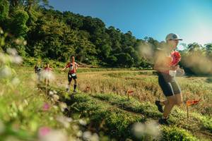 BIB: 
                            <button type="button" onclick="openModal(26636031)" class="btn btn-primary btn-sm float-right btn-popup" data-toggle="modal" data-target=".modal-high-quality">
                        <i class="fas fa-shopping-cart"></i> Add to Cart
                    </button>
                                            <button type="button" onclick="isThisMe(26636031, true)" class="btn btn-success btn-sm float-right btn-popup btn-isme hidden" data-toggle="tooltip" data-placement="bottom" title="นี่คือรูปของคุณใช่ไหม คลิกที่นี่เพื่อเอาเข้าอัลบั้ม">
                        <i class="fas fa-plus"></i> Add to album
                    </button>
                    <button type="button" onclick="isThisMe(26636031, false)" class="btn btn-warning btn-sm float-right btn-popup btn-isnotme hidden">
                        <i class="fas fa-ban"></i> Remove from album
                    </button>