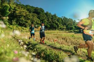 BIB: 
                            <button type="button" onclick="openModal(26638719)" class="btn btn-primary btn-sm float-right btn-popup" data-toggle="modal" data-target=".modal-high-quality">
                        <i class="fas fa-shopping-cart"></i> Add to Cart
                    </button>
                                            <button type="button" onclick="isThisMe(26638719, true)" class="btn btn-success btn-sm float-right btn-popup btn-isme hidden" data-toggle="tooltip" data-placement="bottom" title="นี่คือรูปของคุณใช่ไหม คลิกที่นี่เพื่อเอาเข้าอัลบั้ม">
                        <i class="fas fa-plus"></i> Add to album
                    </button>
                    <button type="button" onclick="isThisMe(26638719, false)" class="btn btn-warning btn-sm float-right btn-popup btn-isnotme hidden">
                        <i class="fas fa-ban"></i> Remove from album
                    </button>