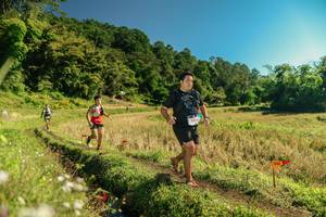 BIB: 
                            <button type="button" onclick="openModal(26697012)" class="btn btn-primary btn-sm float-right btn-popup" data-toggle="modal" data-target=".modal-high-quality">
                        <i class="fas fa-shopping-cart"></i> Add to Cart
                    </button>
                                            <button type="button" onclick="isThisMe(26697012, true)" class="btn btn-success btn-sm float-right btn-popup btn-isme hidden" data-toggle="tooltip" data-placement="bottom" title="นี่คือรูปของคุณใช่ไหม คลิกที่นี่เพื่อเอาเข้าอัลบั้ม">
                        <i class="fas fa-plus"></i> Add to album
                    </button>
                    <button type="button" onclick="isThisMe(26697012, false)" class="btn btn-warning btn-sm float-right btn-popup btn-isnotme hidden">
                        <i class="fas fa-ban"></i> Remove from album
                    </button>