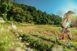 BIB: 
                            <button type="button" onclick="openModal(26670256)" class="btn btn-primary btn-sm float-right btn-popup" data-toggle="modal" data-target=".modal-high-quality">
                        <i class="fas fa-shopping-cart"></i> Add to Cart
                    </button>
                                            <button type="button" onclick="isThisMe(26670256, true)" class="btn btn-success btn-sm float-right btn-popup btn-isme hidden" data-toggle="tooltip" data-placement="bottom" title="นี่คือรูปของคุณใช่ไหม คลิกที่นี่เพื่อเอาเข้าอัลบั้ม">
                        <i class="fas fa-plus"></i> Add to album
                    </button>
                    <button type="button" onclick="isThisMe(26670256, false)" class="btn btn-warning btn-sm float-right btn-popup btn-isnotme hidden">
                        <i class="fas fa-ban"></i> Remove from album
                    </button>