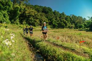 BIB: 
                            <button type="button" onclick="openModal(26694502)" class="btn btn-primary btn-sm float-right btn-popup" data-toggle="modal" data-target=".modal-high-quality">
                        <i class="fas fa-shopping-cart"></i> Add to Cart
                    </button>
                                            <button type="button" onclick="isThisMe(26694502, true)" class="btn btn-success btn-sm float-right btn-popup btn-isme hidden" data-toggle="tooltip" data-placement="bottom" title="นี่คือรูปของคุณใช่ไหม คลิกที่นี่เพื่อเอาเข้าอัลบั้ม">
                        <i class="fas fa-plus"></i> Add to album
                    </button>
                    <button type="button" onclick="isThisMe(26694502, false)" class="btn btn-warning btn-sm float-right btn-popup btn-isnotme hidden">
                        <i class="fas fa-ban"></i> Remove from album
                    </button>