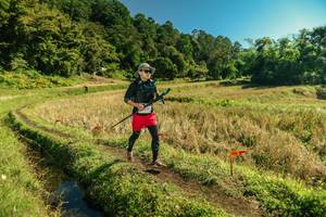 BIB: 
                            <button type="button" onclick="openModal(26694737)" class="btn btn-primary btn-sm float-right btn-popup" data-toggle="modal" data-target=".modal-high-quality">
                        <i class="fas fa-shopping-cart"></i> Add to Cart
                    </button>
                                            <button type="button" onclick="isThisMe(26694737, true)" class="btn btn-success btn-sm float-right btn-popup btn-isme hidden" data-toggle="tooltip" data-placement="bottom" title="นี่คือรูปของคุณใช่ไหม คลิกที่นี่เพื่อเอาเข้าอัลบั้ม">
                        <i class="fas fa-plus"></i> Add to album
                    </button>
                    <button type="button" onclick="isThisMe(26694737, false)" class="btn btn-warning btn-sm float-right btn-popup btn-isnotme hidden">
                        <i class="fas fa-ban"></i> Remove from album
                    </button>