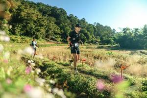 BIB: 
                            <button type="button" onclick="openModal(26633398)" class="btn btn-primary btn-sm float-right btn-popup" data-toggle="modal" data-target=".modal-high-quality">
                        <i class="fas fa-shopping-cart"></i> Add to Cart
                    </button>
                                            <button type="button" onclick="isThisMe(26633398, true)" class="btn btn-success btn-sm float-right btn-popup btn-isme hidden" data-toggle="tooltip" data-placement="bottom" title="นี่คือรูปของคุณใช่ไหม คลิกที่นี่เพื่อเอาเข้าอัลบั้ม">
                        <i class="fas fa-plus"></i> Add to album
                    </button>
                    <button type="button" onclick="isThisMe(26633398, false)" class="btn btn-warning btn-sm float-right btn-popup btn-isnotme hidden">
                        <i class="fas fa-ban"></i> Remove from album
                    </button>