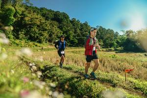 BIB: 
                            <button type="button" onclick="openModal(26637942)" class="btn btn-primary btn-sm float-right btn-popup" data-toggle="modal" data-target=".modal-high-quality">
                        <i class="fas fa-shopping-cart"></i> Add to Cart
                    </button>
                                            <button type="button" onclick="isThisMe(26637942, true)" class="btn btn-success btn-sm float-right btn-popup btn-isme hidden" data-toggle="tooltip" data-placement="bottom" title="นี่คือรูปของคุณใช่ไหม คลิกที่นี่เพื่อเอาเข้าอัลบั้ม">
                        <i class="fas fa-plus"></i> Add to album
                    </button>
                    <button type="button" onclick="isThisMe(26637942, false)" class="btn btn-warning btn-sm float-right btn-popup btn-isnotme hidden">
                        <i class="fas fa-ban"></i> Remove from album
                    </button>