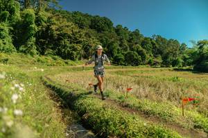 BIB: 
                            <button type="button" onclick="openModal(26716347)" class="btn btn-primary btn-sm float-right btn-popup" data-toggle="modal" data-target=".modal-high-quality">
                        <i class="fas fa-shopping-cart"></i> Add to Cart
                    </button>
                                            <button type="button" onclick="isThisMe(26716347, true)" class="btn btn-success btn-sm float-right btn-popup btn-isme hidden" data-toggle="tooltip" data-placement="bottom" title="นี่คือรูปของคุณใช่ไหม คลิกที่นี่เพื่อเอาเข้าอัลบั้ม">
                        <i class="fas fa-plus"></i> Add to album
                    </button>
                    <button type="button" onclick="isThisMe(26716347, false)" class="btn btn-warning btn-sm float-right btn-popup btn-isnotme hidden">
                        <i class="fas fa-ban"></i> Remove from album
                    </button>