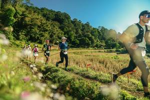 BIB: 
                            <button type="button" onclick="openModal(26637011)" class="btn btn-primary btn-sm float-right btn-popup" data-toggle="modal" data-target=".modal-high-quality">
                        <i class="fas fa-shopping-cart"></i> Add to Cart
                    </button>
                                            <button type="button" onclick="isThisMe(26637011, true)" class="btn btn-success btn-sm float-right btn-popup btn-isme hidden" data-toggle="tooltip" data-placement="bottom" title="นี่คือรูปของคุณใช่ไหม คลิกที่นี่เพื่อเอาเข้าอัลบั้ม">
                        <i class="fas fa-plus"></i> Add to album
                    </button>
                    <button type="button" onclick="isThisMe(26637011, false)" class="btn btn-warning btn-sm float-right btn-popup btn-isnotme hidden">
                        <i class="fas fa-ban"></i> Remove from album
                    </button>