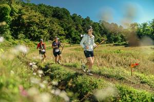 BIB: 
                            <button type="button" onclick="openModal(26698665)" class="btn btn-primary btn-sm float-right btn-popup" data-toggle="modal" data-target=".modal-high-quality">
                        <i class="fas fa-shopping-cart"></i> Add to Cart
                    </button>
                                            <button type="button" onclick="isThisMe(26698665, true)" class="btn btn-success btn-sm float-right btn-popup btn-isme hidden" data-toggle="tooltip" data-placement="bottom" title="นี่คือรูปของคุณใช่ไหม คลิกที่นี่เพื่อเอาเข้าอัลบั้ม">
                        <i class="fas fa-plus"></i> Add to album
                    </button>
                    <button type="button" onclick="isThisMe(26698665, false)" class="btn btn-warning btn-sm float-right btn-popup btn-isnotme hidden">
                        <i class="fas fa-ban"></i> Remove from album
                    </button>