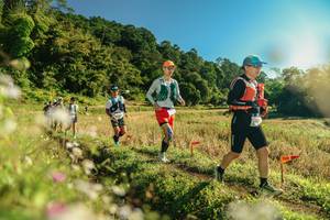 BIB: 
                            <button type="button" onclick="openModal(26637611)" class="btn btn-primary btn-sm float-right btn-popup" data-toggle="modal" data-target=".modal-high-quality">
                        <i class="fas fa-shopping-cart"></i> Add to Cart
                    </button>
                                            <button type="button" onclick="isThisMe(26637611, true)" class="btn btn-success btn-sm float-right btn-popup btn-isme hidden" data-toggle="tooltip" data-placement="bottom" title="นี่คือรูปของคุณใช่ไหม คลิกที่นี่เพื่อเอาเข้าอัลบั้ม">
                        <i class="fas fa-plus"></i> Add to album
                    </button>
                    <button type="button" onclick="isThisMe(26637611, false)" class="btn btn-warning btn-sm float-right btn-popup btn-isnotme hidden">
                        <i class="fas fa-ban"></i> Remove from album
                    </button>