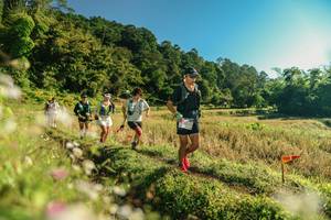 BIB: 
                            <button type="button" onclick="openModal(26637172)" class="btn btn-primary btn-sm float-right btn-popup" data-toggle="modal" data-target=".modal-high-quality">
                        <i class="fas fa-shopping-cart"></i> Add to Cart
                    </button>
                                            <button type="button" onclick="isThisMe(26637172, true)" class="btn btn-success btn-sm float-right btn-popup btn-isme hidden" data-toggle="tooltip" data-placement="bottom" title="นี่คือรูปของคุณใช่ไหม คลิกที่นี่เพื่อเอาเข้าอัลบั้ม">
                        <i class="fas fa-plus"></i> Add to album
                    </button>
                    <button type="button" onclick="isThisMe(26637172, false)" class="btn btn-warning btn-sm float-right btn-popup btn-isnotme hidden">
                        <i class="fas fa-ban"></i> Remove from album
                    </button>