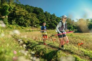 BIB: 
                            <button type="button" onclick="openModal(26675356)" class="btn btn-primary btn-sm float-right btn-popup" data-toggle="modal" data-target=".modal-high-quality">
                        <i class="fas fa-shopping-cart"></i> Add to Cart
                    </button>
                                            <button type="button" onclick="isThisMe(26675356, true)" class="btn btn-success btn-sm float-right btn-popup btn-isme hidden" data-toggle="tooltip" data-placement="bottom" title="นี่คือรูปของคุณใช่ไหม คลิกที่นี่เพื่อเอาเข้าอัลบั้ม">
                        <i class="fas fa-plus"></i> Add to album
                    </button>
                    <button type="button" onclick="isThisMe(26675356, false)" class="btn btn-warning btn-sm float-right btn-popup btn-isnotme hidden">
                        <i class="fas fa-ban"></i> Remove from album
                    </button>