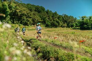 BIB: 
                            <button type="button" onclick="openModal(26728414)" class="btn btn-primary btn-sm float-right btn-popup" data-toggle="modal" data-target=".modal-high-quality">
                        <i class="fas fa-shopping-cart"></i> Add to Cart
                    </button>
                                            <button type="button" onclick="isThisMe(26728414, true)" class="btn btn-success btn-sm float-right btn-popup btn-isme hidden" data-toggle="tooltip" data-placement="bottom" title="นี่คือรูปของคุณใช่ไหม คลิกที่นี่เพื่อเอาเข้าอัลบั้ม">
                        <i class="fas fa-plus"></i> Add to album
                    </button>
                    <button type="button" onclick="isThisMe(26728414, false)" class="btn btn-warning btn-sm float-right btn-popup btn-isnotme hidden">
                        <i class="fas fa-ban"></i> Remove from album
                    </button>