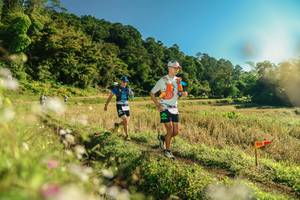 BIB: 
                            <button type="button" onclick="openModal(26637977)" class="btn btn-primary btn-sm float-right btn-popup" data-toggle="modal" data-target=".modal-high-quality">
                        <i class="fas fa-shopping-cart"></i> Add to Cart
                    </button>
                                            <button type="button" onclick="isThisMe(26637977, true)" class="btn btn-success btn-sm float-right btn-popup btn-isme hidden" data-toggle="tooltip" data-placement="bottom" title="นี่คือรูปของคุณใช่ไหม คลิกที่นี่เพื่อเอาเข้าอัลบั้ม">
                        <i class="fas fa-plus"></i> Add to album
                    </button>
                    <button type="button" onclick="isThisMe(26637977, false)" class="btn btn-warning btn-sm float-right btn-popup btn-isnotme hidden">
                        <i class="fas fa-ban"></i> Remove from album
                    </button>