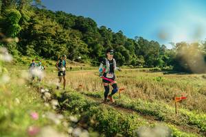 BIB: 
                            <button type="button" onclick="openModal(26638865)" class="btn btn-primary btn-sm float-right btn-popup" data-toggle="modal" data-target=".modal-high-quality">
                        <i class="fas fa-shopping-cart"></i> Add to Cart
                    </button>
                                            <button type="button" onclick="isThisMe(26638865, true)" class="btn btn-success btn-sm float-right btn-popup btn-isme hidden" data-toggle="tooltip" data-placement="bottom" title="นี่คือรูปของคุณใช่ไหม คลิกที่นี่เพื่อเอาเข้าอัลบั้ม">
                        <i class="fas fa-plus"></i> Add to album
                    </button>
                    <button type="button" onclick="isThisMe(26638865, false)" class="btn btn-warning btn-sm float-right btn-popup btn-isnotme hidden">
                        <i class="fas fa-ban"></i> Remove from album
                    </button>