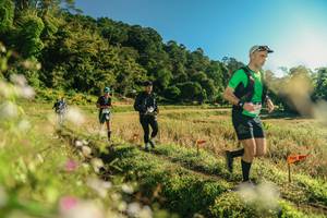 BIB: 
                            <button type="button" onclick="openModal(26636276)" class="btn btn-primary btn-sm float-right btn-popup" data-toggle="modal" data-target=".modal-high-quality">
                        <i class="fas fa-shopping-cart"></i> Add to Cart
                    </button>
                                            <button type="button" onclick="isThisMe(26636276, true)" class="btn btn-success btn-sm float-right btn-popup btn-isme hidden" data-toggle="tooltip" data-placement="bottom" title="นี่คือรูปของคุณใช่ไหม คลิกที่นี่เพื่อเอาเข้าอัลบั้ม">
                        <i class="fas fa-plus"></i> Add to album
                    </button>
                    <button type="button" onclick="isThisMe(26636276, false)" class="btn btn-warning btn-sm float-right btn-popup btn-isnotme hidden">
                        <i class="fas fa-ban"></i> Remove from album
                    </button>