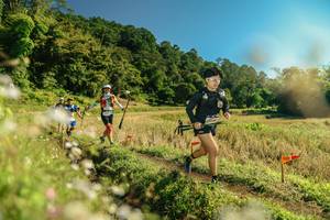 BIB: 
                            <button type="button" onclick="openModal(26685467)" class="btn btn-primary btn-sm float-right btn-popup" data-toggle="modal" data-target=".modal-high-quality">
                        <i class="fas fa-shopping-cart"></i> Add to Cart
                    </button>
                                            <button type="button" onclick="isThisMe(26685467, true)" class="btn btn-success btn-sm float-right btn-popup btn-isme hidden" data-toggle="tooltip" data-placement="bottom" title="นี่คือรูปของคุณใช่ไหม คลิกที่นี่เพื่อเอาเข้าอัลบั้ม">
                        <i class="fas fa-plus"></i> Add to album
                    </button>
                    <button type="button" onclick="isThisMe(26685467, false)" class="btn btn-warning btn-sm float-right btn-popup btn-isnotme hidden">
                        <i class="fas fa-ban"></i> Remove from album
                    </button>