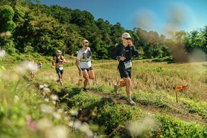 BIB: 
                            <button type="button" onclick="openModal(26698004)" class="btn btn-primary btn-sm float-right btn-popup" data-toggle="modal" data-target=".modal-high-quality">
                        <i class="fas fa-shopping-cart"></i> Add to Cart
                    </button>
                                            <button type="button" onclick="isThisMe(26698004, true)" class="btn btn-success btn-sm float-right btn-popup btn-isme hidden" data-toggle="tooltip" data-placement="bottom" title="นี่คือรูปของคุณใช่ไหม คลิกที่นี่เพื่อเอาเข้าอัลบั้ม">
                        <i class="fas fa-plus"></i> Add to album
                    </button>
                    <button type="button" onclick="isThisMe(26698004, false)" class="btn btn-warning btn-sm float-right btn-popup btn-isnotme hidden">
                        <i class="fas fa-ban"></i> Remove from album
                    </button>