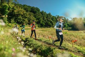 BIB: 
                            <button type="button" onclick="openModal(26679928)" class="btn btn-primary btn-sm float-right btn-popup" data-toggle="modal" data-target=".modal-high-quality">
                        <i class="fas fa-shopping-cart"></i> Add to Cart
                    </button>
                                            <button type="button" onclick="isThisMe(26679928, true)" class="btn btn-success btn-sm float-right btn-popup btn-isme hidden" data-toggle="tooltip" data-placement="bottom" title="นี่คือรูปของคุณใช่ไหม คลิกที่นี่เพื่อเอาเข้าอัลบั้ม">
                        <i class="fas fa-plus"></i> Add to album
                    </button>
                    <button type="button" onclick="isThisMe(26679928, false)" class="btn btn-warning btn-sm float-right btn-popup btn-isnotme hidden">
                        <i class="fas fa-ban"></i> Remove from album
                    </button>