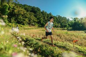 BIB: 
                            <button type="button" onclick="openModal(26637564)" class="btn btn-primary btn-sm float-right btn-popup" data-toggle="modal" data-target=".modal-high-quality">
                        <i class="fas fa-shopping-cart"></i> Add to Cart
                    </button>
                                            <button type="button" onclick="isThisMe(26637564, true)" class="btn btn-success btn-sm float-right btn-popup btn-isme hidden" data-toggle="tooltip" data-placement="bottom" title="นี่คือรูปของคุณใช่ไหม คลิกที่นี่เพื่อเอาเข้าอัลบั้ม">
                        <i class="fas fa-plus"></i> Add to album
                    </button>
                    <button type="button" onclick="isThisMe(26637564, false)" class="btn btn-warning btn-sm float-right btn-popup btn-isnotme hidden">
                        <i class="fas fa-ban"></i> Remove from album
                    </button>