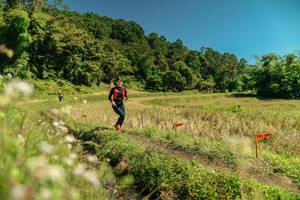 BIB: 
                            <button type="button" onclick="openModal(26725872)" class="btn btn-primary btn-sm float-right btn-popup" data-toggle="modal" data-target=".modal-high-quality">
                        <i class="fas fa-shopping-cart"></i> Add to Cart
                    </button>
                                            <button type="button" onclick="isThisMe(26725872, true)" class="btn btn-success btn-sm float-right btn-popup btn-isme hidden" data-toggle="tooltip" data-placement="bottom" title="นี่คือรูปของคุณใช่ไหม คลิกที่นี่เพื่อเอาเข้าอัลบั้ม">
                        <i class="fas fa-plus"></i> Add to album
                    </button>
                    <button type="button" onclick="isThisMe(26725872, false)" class="btn btn-warning btn-sm float-right btn-popup btn-isnotme hidden">
                        <i class="fas fa-ban"></i> Remove from album
                    </button>