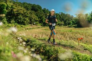 BIB: 
                            <button type="button" onclick="openModal(26699354)" class="btn btn-primary btn-sm float-right btn-popup" data-toggle="modal" data-target=".modal-high-quality">
                        <i class="fas fa-shopping-cart"></i> Add to Cart
                    </button>
                                            <button type="button" onclick="isThisMe(26699354, true)" class="btn btn-success btn-sm float-right btn-popup btn-isme hidden" data-toggle="tooltip" data-placement="bottom" title="นี่คือรูปของคุณใช่ไหม คลิกที่นี่เพื่อเอาเข้าอัลบั้ม">
                        <i class="fas fa-plus"></i> Add to album
                    </button>
                    <button type="button" onclick="isThisMe(26699354, false)" class="btn btn-warning btn-sm float-right btn-popup btn-isnotme hidden">
                        <i class="fas fa-ban"></i> Remove from album
                    </button>