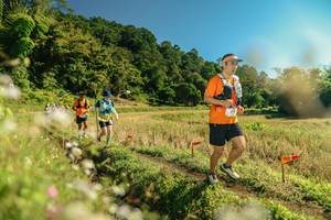 BIB: 
                            <button type="button" onclick="openModal(26681546)" class="btn btn-primary btn-sm float-right btn-popup" data-toggle="modal" data-target=".modal-high-quality">
                        <i class="fas fa-shopping-cart"></i> Add to Cart
                    </button>
                                            <button type="button" onclick="isThisMe(26681546, true)" class="btn btn-success btn-sm float-right btn-popup btn-isme hidden" data-toggle="tooltip" data-placement="bottom" title="นี่คือรูปของคุณใช่ไหม คลิกที่นี่เพื่อเอาเข้าอัลบั้ม">
                        <i class="fas fa-plus"></i> Add to album
                    </button>
                    <button type="button" onclick="isThisMe(26681546, false)" class="btn btn-warning btn-sm float-right btn-popup btn-isnotme hidden">
                        <i class="fas fa-ban"></i> Remove from album
                    </button>