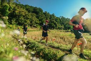 BIB: 
                            <button type="button" onclick="openModal(26637515)" class="btn btn-primary btn-sm float-right btn-popup" data-toggle="modal" data-target=".modal-high-quality">
                        <i class="fas fa-shopping-cart"></i> Add to Cart
                    </button>
                                            <button type="button" onclick="isThisMe(26637515, true)" class="btn btn-success btn-sm float-right btn-popup btn-isme hidden" data-toggle="tooltip" data-placement="bottom" title="นี่คือรูปของคุณใช่ไหม คลิกที่นี่เพื่อเอาเข้าอัลบั้ม">
                        <i class="fas fa-plus"></i> Add to album
                    </button>
                    <button type="button" onclick="isThisMe(26637515, false)" class="btn btn-warning btn-sm float-right btn-popup btn-isnotme hidden">
                        <i class="fas fa-ban"></i> Remove from album
                    </button>