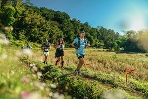 BIB: 
                            <button type="button" onclick="openModal(26637754)" class="btn btn-primary btn-sm float-right btn-popup" data-toggle="modal" data-target=".modal-high-quality">
                        <i class="fas fa-shopping-cart"></i> Add to Cart
                    </button>
                                            <button type="button" onclick="isThisMe(26637754, true)" class="btn btn-success btn-sm float-right btn-popup btn-isme hidden" data-toggle="tooltip" data-placement="bottom" title="นี่คือรูปของคุณใช่ไหม คลิกที่นี่เพื่อเอาเข้าอัลบั้ม">
                        <i class="fas fa-plus"></i> Add to album
                    </button>
                    <button type="button" onclick="isThisMe(26637754, false)" class="btn btn-warning btn-sm float-right btn-popup btn-isnotme hidden">
                        <i class="fas fa-ban"></i> Remove from album
                    </button>