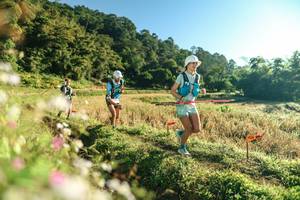 BIB: 
                            <button type="button" onclick="openModal(26633197)" class="btn btn-primary btn-sm float-right btn-popup" data-toggle="modal" data-target=".modal-high-quality">
                        <i class="fas fa-shopping-cart"></i> Add to Cart
                    </button>
                                            <button type="button" onclick="isThisMe(26633197, true)" class="btn btn-success btn-sm float-right btn-popup btn-isme hidden" data-toggle="tooltip" data-placement="bottom" title="นี่คือรูปของคุณใช่ไหม คลิกที่นี่เพื่อเอาเข้าอัลบั้ม">
                        <i class="fas fa-plus"></i> Add to album
                    </button>
                    <button type="button" onclick="isThisMe(26633197, false)" class="btn btn-warning btn-sm float-right btn-popup btn-isnotme hidden">
                        <i class="fas fa-ban"></i> Remove from album
                    </button>