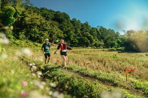 BIB: 
                            <button type="button" onclick="openModal(26653824)" class="btn btn-primary btn-sm float-right btn-popup" data-toggle="modal" data-target=".modal-high-quality">
                        <i class="fas fa-shopping-cart"></i> Add to Cart
                    </button>
                                            <button type="button" onclick="isThisMe(26653824, true)" class="btn btn-success btn-sm float-right btn-popup btn-isme hidden" data-toggle="tooltip" data-placement="bottom" title="นี่คือรูปของคุณใช่ไหม คลิกที่นี่เพื่อเอาเข้าอัลบั้ม">
                        <i class="fas fa-plus"></i> Add to album
                    </button>
                    <button type="button" onclick="isThisMe(26653824, false)" class="btn btn-warning btn-sm float-right btn-popup btn-isnotme hidden">
                        <i class="fas fa-ban"></i> Remove from album
                    </button>