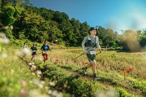 BIB: 
                            <button type="button" onclick="openModal(26677265)" class="btn btn-primary btn-sm float-right btn-popup" data-toggle="modal" data-target=".modal-high-quality">
                        <i class="fas fa-shopping-cart"></i> Add to Cart
                    </button>
                                            <button type="button" onclick="isThisMe(26677265, true)" class="btn btn-success btn-sm float-right btn-popup btn-isme hidden" data-toggle="tooltip" data-placement="bottom" title="นี่คือรูปของคุณใช่ไหม คลิกที่นี่เพื่อเอาเข้าอัลบั้ม">
                        <i class="fas fa-plus"></i> Add to album
                    </button>
                    <button type="button" onclick="isThisMe(26677265, false)" class="btn btn-warning btn-sm float-right btn-popup btn-isnotme hidden">
                        <i class="fas fa-ban"></i> Remove from album
                    </button>