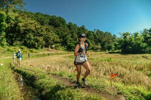 BIB: 
                            <button type="button" onclick="openModal(26714481)" class="btn btn-primary btn-sm float-right btn-popup" data-toggle="modal" data-target=".modal-high-quality">
                        <i class="fas fa-shopping-cart"></i> Add to Cart
                    </button>
                                            <button type="button" onclick="isThisMe(26714481, true)" class="btn btn-success btn-sm float-right btn-popup btn-isme hidden" data-toggle="tooltip" data-placement="bottom" title="นี่คือรูปของคุณใช่ไหม คลิกที่นี่เพื่อเอาเข้าอัลบั้ม">
                        <i class="fas fa-plus"></i> Add to album
                    </button>
                    <button type="button" onclick="isThisMe(26714481, false)" class="btn btn-warning btn-sm float-right btn-popup btn-isnotme hidden">
                        <i class="fas fa-ban"></i> Remove from album
                    </button>