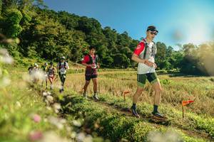 BIB: 
                            <button type="button" onclick="openModal(26638396)" class="btn btn-primary btn-sm float-right btn-popup" data-toggle="modal" data-target=".modal-high-quality">
                        <i class="fas fa-shopping-cart"></i> Add to Cart
                    </button>
                                            <button type="button" onclick="isThisMe(26638396, true)" class="btn btn-success btn-sm float-right btn-popup btn-isme hidden" data-toggle="tooltip" data-placement="bottom" title="นี่คือรูปของคุณใช่ไหม คลิกที่นี่เพื่อเอาเข้าอัลบั้ม">
                        <i class="fas fa-plus"></i> Add to album
                    </button>
                    <button type="button" onclick="isThisMe(26638396, false)" class="btn btn-warning btn-sm float-right btn-popup btn-isnotme hidden">
                        <i class="fas fa-ban"></i> Remove from album
                    </button>