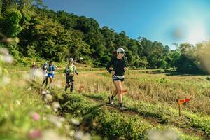 BIB: 
                            <button type="button" onclick="openModal(26638454)" class="btn btn-primary btn-sm float-right btn-popup" data-toggle="modal" data-target=".modal-high-quality">
                        <i class="fas fa-shopping-cart"></i> Add to Cart
                    </button>
                                            <button type="button" onclick="isThisMe(26638454, true)" class="btn btn-success btn-sm float-right btn-popup btn-isme hidden" data-toggle="tooltip" data-placement="bottom" title="นี่คือรูปของคุณใช่ไหม คลิกที่นี่เพื่อเอาเข้าอัลบั้ม">
                        <i class="fas fa-plus"></i> Add to album
                    </button>
                    <button type="button" onclick="isThisMe(26638454, false)" class="btn btn-warning btn-sm float-right btn-popup btn-isnotme hidden">
                        <i class="fas fa-ban"></i> Remove from album
                    </button>