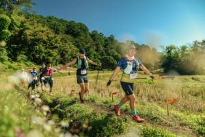 BIB: 
                            <button type="button" onclick="openModal(26700596)" class="btn btn-primary btn-sm float-right btn-popup" data-toggle="modal" data-target=".modal-high-quality">
                        <i class="fas fa-shopping-cart"></i> Add to Cart
                    </button>
                                            <button type="button" onclick="isThisMe(26700596, true)" class="btn btn-success btn-sm float-right btn-popup btn-isme hidden" data-toggle="tooltip" data-placement="bottom" title="นี่คือรูปของคุณใช่ไหม คลิกที่นี่เพื่อเอาเข้าอัลบั้ม">
                        <i class="fas fa-plus"></i> Add to album
                    </button>
                    <button type="button" onclick="isThisMe(26700596, false)" class="btn btn-warning btn-sm float-right btn-popup btn-isnotme hidden">
                        <i class="fas fa-ban"></i> Remove from album
                    </button>