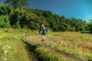 BIB: 
                            <button type="button" onclick="openModal(26714509)" class="btn btn-primary btn-sm float-right btn-popup" data-toggle="modal" data-target=".modal-high-quality">
                        <i class="fas fa-shopping-cart"></i> Add to Cart
                    </button>
                                            <button type="button" onclick="isThisMe(26714509, true)" class="btn btn-success btn-sm float-right btn-popup btn-isme hidden" data-toggle="tooltip" data-placement="bottom" title="นี่คือรูปของคุณใช่ไหม คลิกที่นี่เพื่อเอาเข้าอัลบั้ม">
                        <i class="fas fa-plus"></i> Add to album
                    </button>
                    <button type="button" onclick="isThisMe(26714509, false)" class="btn btn-warning btn-sm float-right btn-popup btn-isnotme hidden">
                        <i class="fas fa-ban"></i> Remove from album
                    </button>