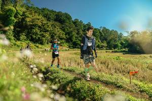 BIB: 
                            <button type="button" onclick="openModal(26687106)" class="btn btn-primary btn-sm float-right btn-popup" data-toggle="modal" data-target=".modal-high-quality">
                        <i class="fas fa-shopping-cart"></i> Add to Cart
                    </button>
                                            <button type="button" onclick="isThisMe(26687106, true)" class="btn btn-success btn-sm float-right btn-popup btn-isme hidden" data-toggle="tooltip" data-placement="bottom" title="นี่คือรูปของคุณใช่ไหม คลิกที่นี่เพื่อเอาเข้าอัลบั้ม">
                        <i class="fas fa-plus"></i> Add to album
                    </button>
                    <button type="button" onclick="isThisMe(26687106, false)" class="btn btn-warning btn-sm float-right btn-popup btn-isnotme hidden">
                        <i class="fas fa-ban"></i> Remove from album
                    </button>