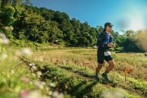 BIB: 
                            <button type="button" onclick="openModal(26637949)" class="btn btn-primary btn-sm float-right btn-popup" data-toggle="modal" data-target=".modal-high-quality">
                        <i class="fas fa-shopping-cart"></i> Add to Cart
                    </button>
                                            <button type="button" onclick="isThisMe(26637949, true)" class="btn btn-success btn-sm float-right btn-popup btn-isme hidden" data-toggle="tooltip" data-placement="bottom" title="นี่คือรูปของคุณใช่ไหม คลิกที่นี่เพื่อเอาเข้าอัลบั้ม">
                        <i class="fas fa-plus"></i> Add to album
                    </button>
                    <button type="button" onclick="isThisMe(26637949, false)" class="btn btn-warning btn-sm float-right btn-popup btn-isnotme hidden">
                        <i class="fas fa-ban"></i> Remove from album
                    </button>