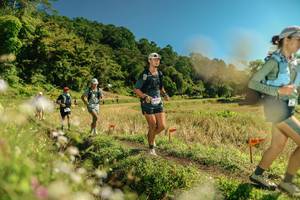 BIB: 
                            <button type="button" onclick="openModal(26700459)" class="btn btn-primary btn-sm float-right btn-popup" data-toggle="modal" data-target=".modal-high-quality">
                        <i class="fas fa-shopping-cart"></i> Add to Cart
                    </button>
                                            <button type="button" onclick="isThisMe(26700459, true)" class="btn btn-success btn-sm float-right btn-popup btn-isme hidden" data-toggle="tooltip" data-placement="bottom" title="นี่คือรูปของคุณใช่ไหม คลิกที่นี่เพื่อเอาเข้าอัลบั้ม">
                        <i class="fas fa-plus"></i> Add to album
                    </button>
                    <button type="button" onclick="isThisMe(26700459, false)" class="btn btn-warning btn-sm float-right btn-popup btn-isnotme hidden">
                        <i class="fas fa-ban"></i> Remove from album
                    </button>