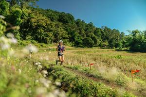 BIB: 
                            <button type="button" onclick="openModal(26709723)" class="btn btn-primary btn-sm float-right btn-popup" data-toggle="modal" data-target=".modal-high-quality">
                        <i class="fas fa-shopping-cart"></i> Add to Cart
                    </button>
                                            <button type="button" onclick="isThisMe(26709723, true)" class="btn btn-success btn-sm float-right btn-popup btn-isme hidden" data-toggle="tooltip" data-placement="bottom" title="นี่คือรูปของคุณใช่ไหม คลิกที่นี่เพื่อเอาเข้าอัลบั้ม">
                        <i class="fas fa-plus"></i> Add to album
                    </button>
                    <button type="button" onclick="isThisMe(26709723, false)" class="btn btn-warning btn-sm float-right btn-popup btn-isnotme hidden">
                        <i class="fas fa-ban"></i> Remove from album
                    </button>