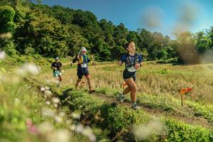 BIB: 
                            <button type="button" onclick="openModal(26699224)" class="btn btn-primary btn-sm float-right btn-popup" data-toggle="modal" data-target=".modal-high-quality">
                        <i class="fas fa-shopping-cart"></i> Add to Cart
                    </button>
                                            <button type="button" onclick="isThisMe(26699224, true)" class="btn btn-success btn-sm float-right btn-popup btn-isme hidden" data-toggle="tooltip" data-placement="bottom" title="นี่คือรูปของคุณใช่ไหม คลิกที่นี่เพื่อเอาเข้าอัลบั้ม">
                        <i class="fas fa-plus"></i> Add to album
                    </button>
                    <button type="button" onclick="isThisMe(26699224, false)" class="btn btn-warning btn-sm float-right btn-popup btn-isnotme hidden">
                        <i class="fas fa-ban"></i> Remove from album
                    </button>