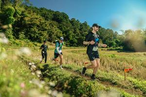 BIB: 
                            <button type="button" onclick="openModal(26683489)" class="btn btn-primary btn-sm float-right btn-popup" data-toggle="modal" data-target=".modal-high-quality">
                        <i class="fas fa-shopping-cart"></i> Add to Cart
                    </button>
                                            <button type="button" onclick="isThisMe(26683489, true)" class="btn btn-success btn-sm float-right btn-popup btn-isme hidden" data-toggle="tooltip" data-placement="bottom" title="นี่คือรูปของคุณใช่ไหม คลิกที่นี่เพื่อเอาเข้าอัลบั้ม">
                        <i class="fas fa-plus"></i> Add to album
                    </button>
                    <button type="button" onclick="isThisMe(26683489, false)" class="btn btn-warning btn-sm float-right btn-popup btn-isnotme hidden">
                        <i class="fas fa-ban"></i> Remove from album
                    </button>