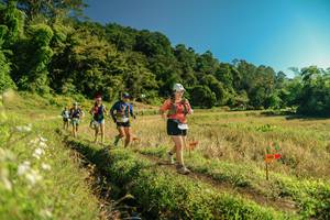 BIB: 
                            <button type="button" onclick="openModal(26694350)" class="btn btn-primary btn-sm float-right btn-popup" data-toggle="modal" data-target=".modal-high-quality">
                        <i class="fas fa-shopping-cart"></i> Add to Cart
                    </button>
                                            <button type="button" onclick="isThisMe(26694350, true)" class="btn btn-success btn-sm float-right btn-popup btn-isme hidden" data-toggle="tooltip" data-placement="bottom" title="นี่คือรูปของคุณใช่ไหม คลิกที่นี่เพื่อเอาเข้าอัลบั้ม">
                        <i class="fas fa-plus"></i> Add to album
                    </button>
                    <button type="button" onclick="isThisMe(26694350, false)" class="btn btn-warning btn-sm float-right btn-popup btn-isnotme hidden">
                        <i class="fas fa-ban"></i> Remove from album
                    </button>