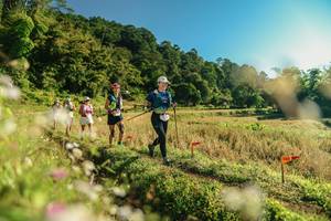 BIB: 
                            <button type="button" onclick="openModal(26637014)" class="btn btn-primary btn-sm float-right btn-popup" data-toggle="modal" data-target=".modal-high-quality">
                        <i class="fas fa-shopping-cart"></i> Add to Cart
                    </button>
                                            <button type="button" onclick="isThisMe(26637014, true)" class="btn btn-success btn-sm float-right btn-popup btn-isme hidden" data-toggle="tooltip" data-placement="bottom" title="นี่คือรูปของคุณใช่ไหม คลิกที่นี่เพื่อเอาเข้าอัลบั้ม">
                        <i class="fas fa-plus"></i> Add to album
                    </button>
                    <button type="button" onclick="isThisMe(26637014, false)" class="btn btn-warning btn-sm float-right btn-popup btn-isnotme hidden">
                        <i class="fas fa-ban"></i> Remove from album
                    </button>