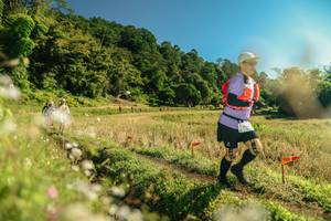 BIB: 
                            <button type="button" onclick="openModal(26680862)" class="btn btn-primary btn-sm float-right btn-popup" data-toggle="modal" data-target=".modal-high-quality">
                        <i class="fas fa-shopping-cart"></i> Add to Cart
                    </button>
                                            <button type="button" onclick="isThisMe(26680862, true)" class="btn btn-success btn-sm float-right btn-popup btn-isme hidden" data-toggle="tooltip" data-placement="bottom" title="นี่คือรูปของคุณใช่ไหม คลิกที่นี่เพื่อเอาเข้าอัลบั้ม">
                        <i class="fas fa-plus"></i> Add to album
                    </button>
                    <button type="button" onclick="isThisMe(26680862, false)" class="btn btn-warning btn-sm float-right btn-popup btn-isnotme hidden">
                        <i class="fas fa-ban"></i> Remove from album
                    </button>