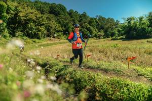 BIB: 
                            <button type="button" onclick="openModal(26702880)" class="btn btn-primary btn-sm float-right btn-popup" data-toggle="modal" data-target=".modal-high-quality">
                        <i class="fas fa-shopping-cart"></i> Add to Cart
                    </button>
                                            <button type="button" onclick="isThisMe(26702880, true)" class="btn btn-success btn-sm float-right btn-popup btn-isme hidden" data-toggle="tooltip" data-placement="bottom" title="นี่คือรูปของคุณใช่ไหม คลิกที่นี่เพื่อเอาเข้าอัลบั้ม">
                        <i class="fas fa-plus"></i> Add to album
                    </button>
                    <button type="button" onclick="isThisMe(26702880, false)" class="btn btn-warning btn-sm float-right btn-popup btn-isnotme hidden">
                        <i class="fas fa-ban"></i> Remove from album
                    </button>