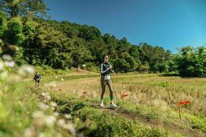 BIB: 
                            <button type="button" onclick="openModal(26734049)" class="btn btn-primary btn-sm float-right btn-popup" data-toggle="modal" data-target=".modal-high-quality">
                        <i class="fas fa-shopping-cart"></i> Add to Cart
                    </button>
                                            <button type="button" onclick="isThisMe(26734049, true)" class="btn btn-success btn-sm float-right btn-popup btn-isme hidden" data-toggle="tooltip" data-placement="bottom" title="นี่คือรูปของคุณใช่ไหม คลิกที่นี่เพื่อเอาเข้าอัลบั้ม">
                        <i class="fas fa-plus"></i> Add to album
                    </button>
                    <button type="button" onclick="isThisMe(26734049, false)" class="btn btn-warning btn-sm float-right btn-popup btn-isnotme hidden">
                        <i class="fas fa-ban"></i> Remove from album
                    </button>