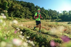 BIB: 
                            <button type="button" onclick="openModal(26634336)" class="btn btn-primary btn-sm float-right btn-popup" data-toggle="modal" data-target=".modal-high-quality">
                        <i class="fas fa-shopping-cart"></i> Add to Cart
                    </button>
                                            <button type="button" onclick="isThisMe(26634336, true)" class="btn btn-success btn-sm float-right btn-popup btn-isme hidden" data-toggle="tooltip" data-placement="bottom" title="นี่คือรูปของคุณใช่ไหม คลิกที่นี่เพื่อเอาเข้าอัลบั้ม">
                        <i class="fas fa-plus"></i> Add to album
                    </button>
                    <button type="button" onclick="isThisMe(26634336, false)" class="btn btn-warning btn-sm float-right btn-popup btn-isnotme hidden">
                        <i class="fas fa-ban"></i> Remove from album
                    </button>