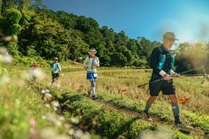 BIB: 
                            <button type="button" onclick="openModal(26684725)" class="btn btn-primary btn-sm float-right btn-popup" data-toggle="modal" data-target=".modal-high-quality">
                        <i class="fas fa-shopping-cart"></i> Add to Cart
                    </button>
                                            <button type="button" onclick="isThisMe(26684725, true)" class="btn btn-success btn-sm float-right btn-popup btn-isme hidden" data-toggle="tooltip" data-placement="bottom" title="นี่คือรูปของคุณใช่ไหม คลิกที่นี่เพื่อเอาเข้าอัลบั้ม">
                        <i class="fas fa-plus"></i> Add to album
                    </button>
                    <button type="button" onclick="isThisMe(26684725, false)" class="btn btn-warning btn-sm float-right btn-popup btn-isnotme hidden">
                        <i class="fas fa-ban"></i> Remove from album
                    </button>