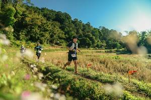 BIB: 
                            <button type="button" onclick="openModal(26636399)" class="btn btn-primary btn-sm float-right btn-popup" data-toggle="modal" data-target=".modal-high-quality">
                        <i class="fas fa-shopping-cart"></i> Add to Cart
                    </button>
                                            <button type="button" onclick="isThisMe(26636399, true)" class="btn btn-success btn-sm float-right btn-popup btn-isme hidden" data-toggle="tooltip" data-placement="bottom" title="นี่คือรูปของคุณใช่ไหม คลิกที่นี่เพื่อเอาเข้าอัลบั้ม">
                        <i class="fas fa-plus"></i> Add to album
                    </button>
                    <button type="button" onclick="isThisMe(26636399, false)" class="btn btn-warning btn-sm float-right btn-popup btn-isnotme hidden">
                        <i class="fas fa-ban"></i> Remove from album
                    </button>