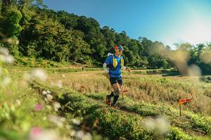 BIB: 
                            <button type="button" onclick="openModal(26636337)" class="btn btn-primary btn-sm float-right btn-popup" data-toggle="modal" data-target=".modal-high-quality">
                        <i class="fas fa-shopping-cart"></i> Add to Cart
                    </button>
                                            <button type="button" onclick="isThisMe(26636337, true)" class="btn btn-success btn-sm float-right btn-popup btn-isme hidden" data-toggle="tooltip" data-placement="bottom" title="นี่คือรูปของคุณใช่ไหม คลิกที่นี่เพื่อเอาเข้าอัลบั้ม">
                        <i class="fas fa-plus"></i> Add to album
                    </button>
                    <button type="button" onclick="isThisMe(26636337, false)" class="btn btn-warning btn-sm float-right btn-popup btn-isnotme hidden">
                        <i class="fas fa-ban"></i> Remove from album
                    </button>